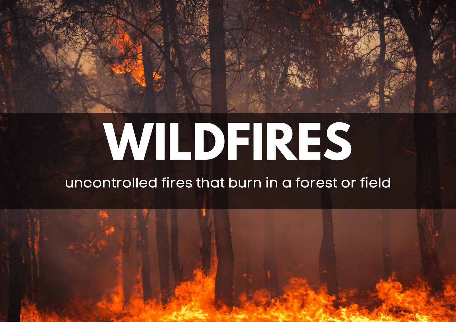 Wildfire Lesson Los Angeles Fire, what's the lesson for us?